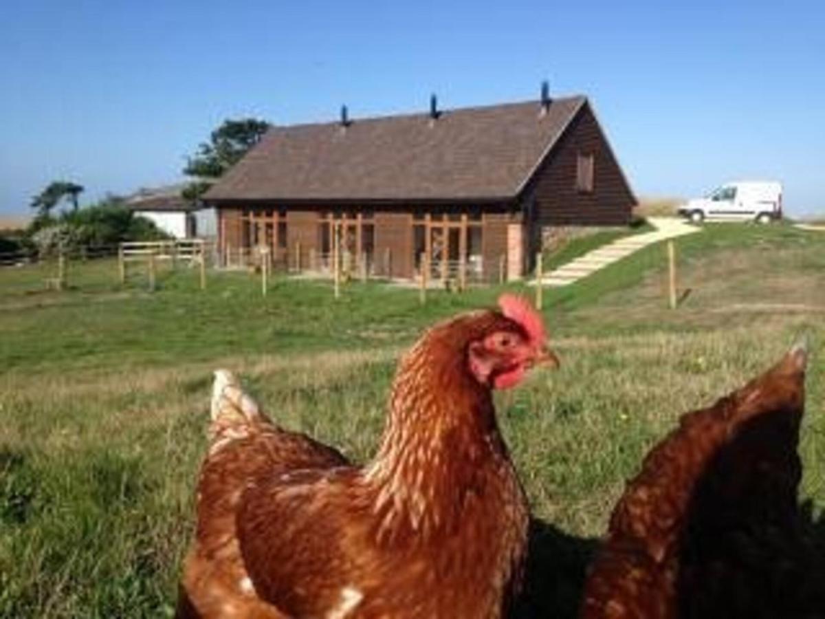 Poachers Hut - Captivating 1-Bed Cottage Shorwell Buitenkant foto