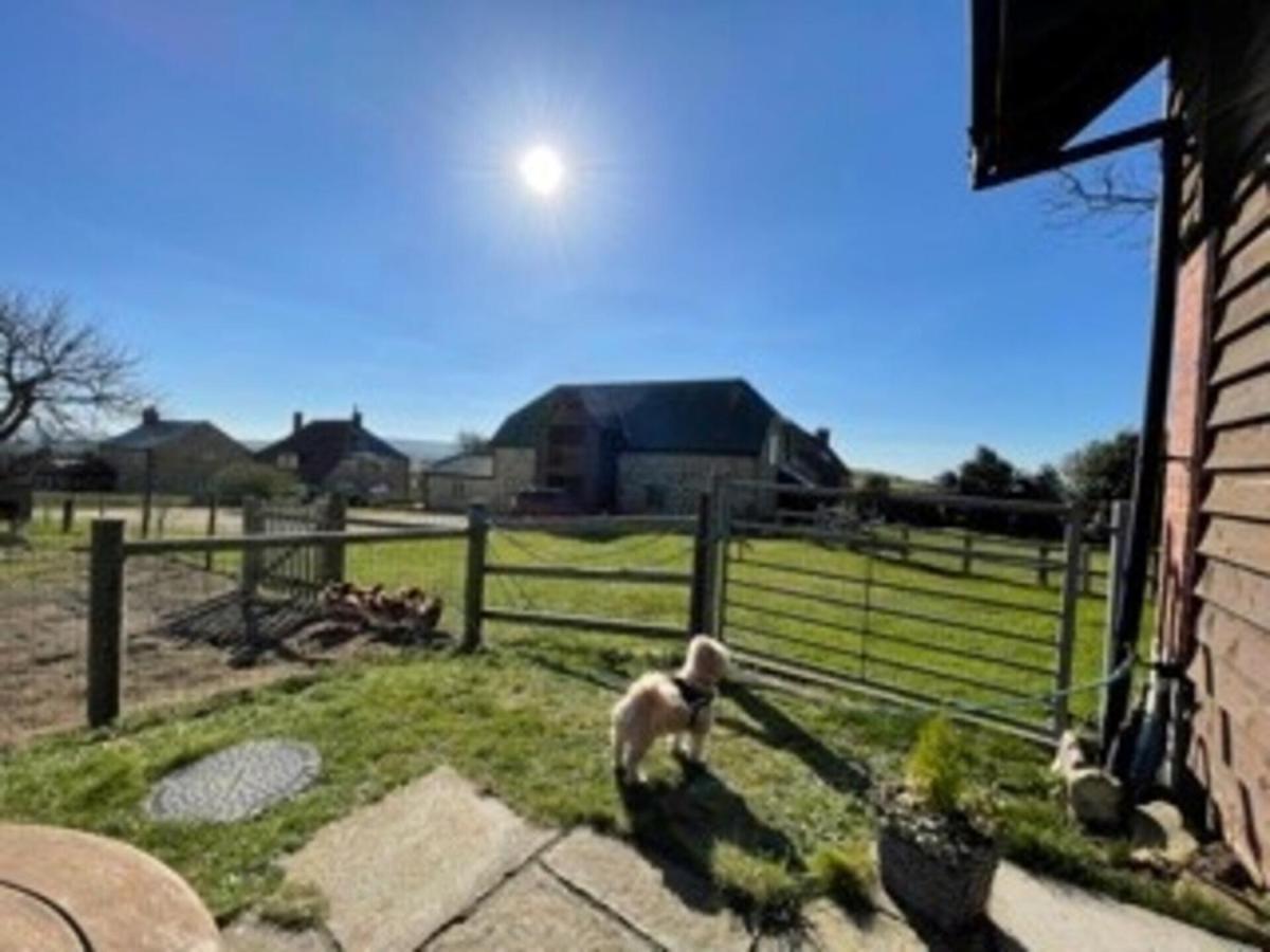 Poachers Hut - Captivating 1-Bed Cottage Shorwell Buitenkant foto