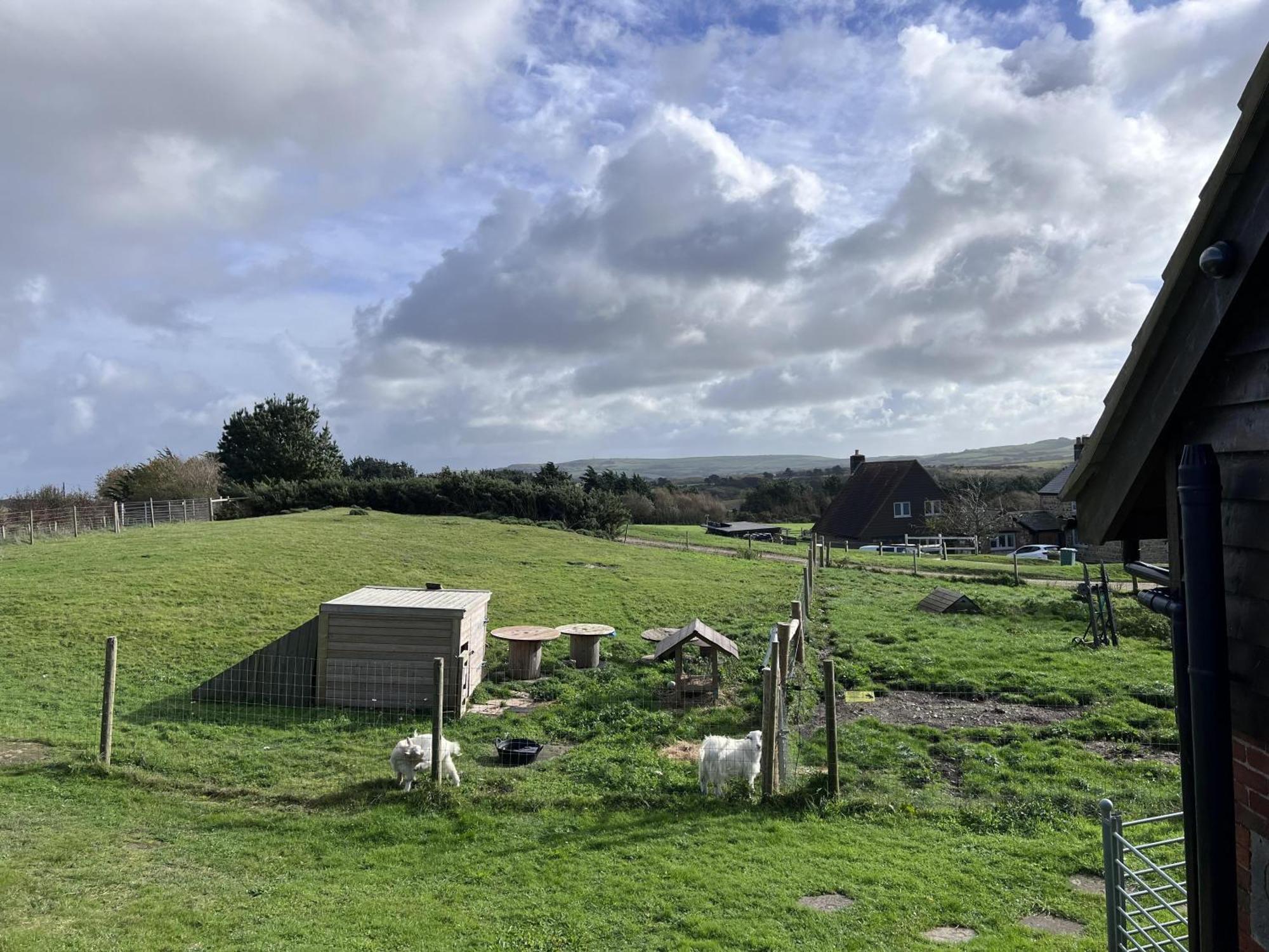 Poachers Hut - Captivating 1-Bed Cottage Shorwell Buitenkant foto