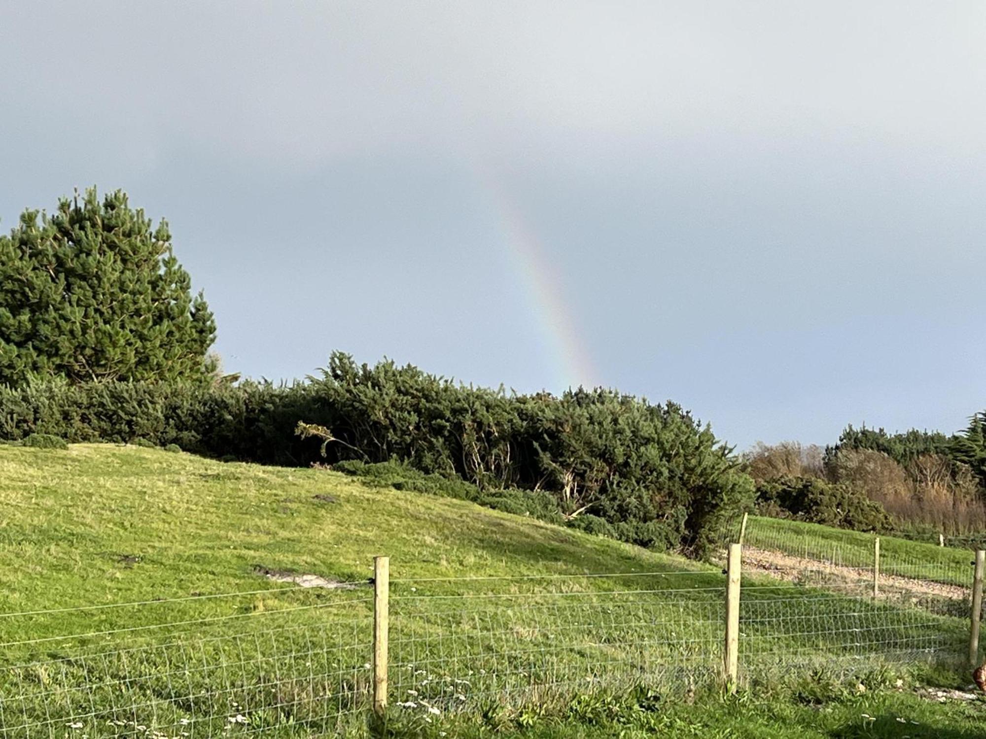 Poachers Hut - Captivating 1-Bed Cottage Shorwell Buitenkant foto
